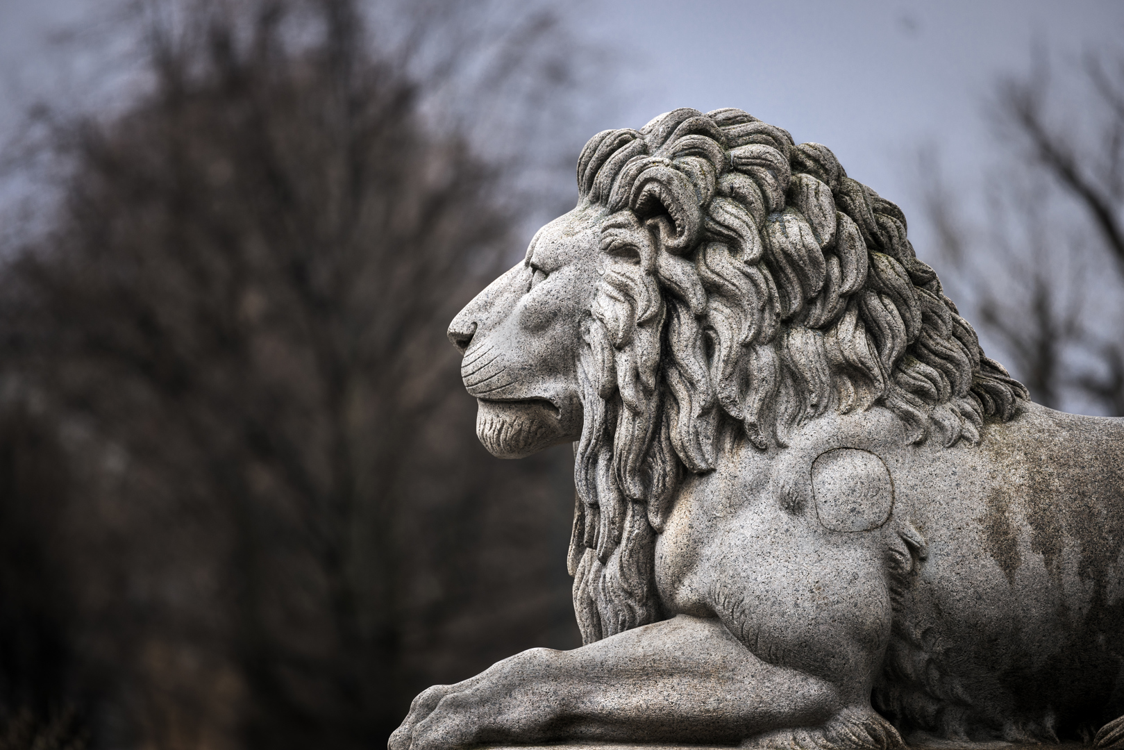 Statsbudsjettet 2026: moderat veteranprofil